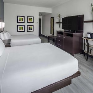 Queen Room Two Queen Beds